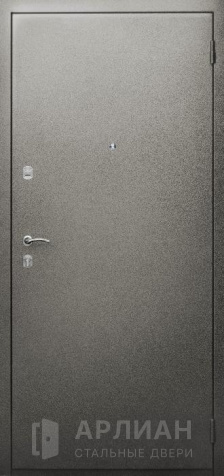 Фото «Стальная дверь с порошковым окрасом и лаком №101»