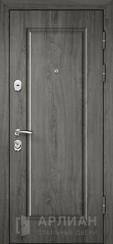 Фото «Дверь в коттедж с виноритом №42»